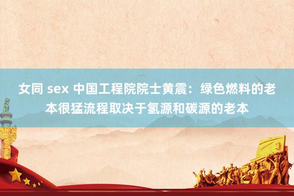 女同 sex 中国工程院院士黄震：绿色燃料的老本很猛流程取决于氢源和碳源的老本