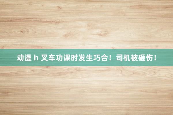 动漫 h 叉车功课时发生巧合！司机被砸伤！
