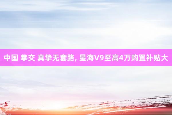 中国 拳交 真挚无套路， 星海V9至高4万购置补贴大