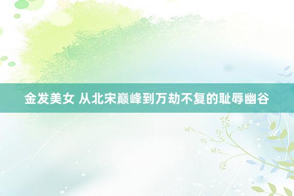 金发美女 从北宋巅峰到万劫不复的耻辱幽谷
