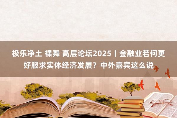 极乐净土 裸舞 高层论坛2025丨金融业若何更好服求实体经济发展？中外嘉宾这么说