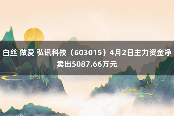 白丝 做爱 弘讯科技（603015）4月2日主力资金净卖出5087.66万元