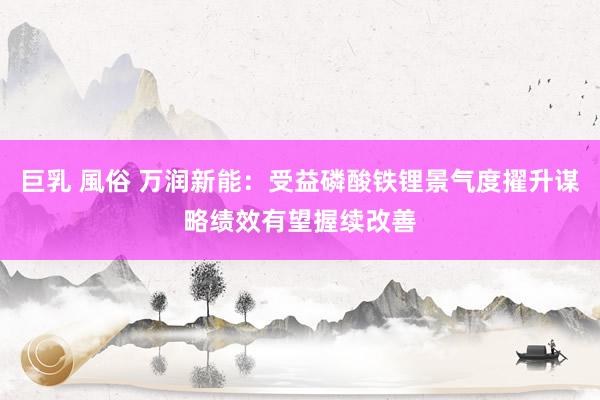 巨乳 風俗 万润新能：受益磷酸铁锂景气度擢升谋略绩效有望握续改善
