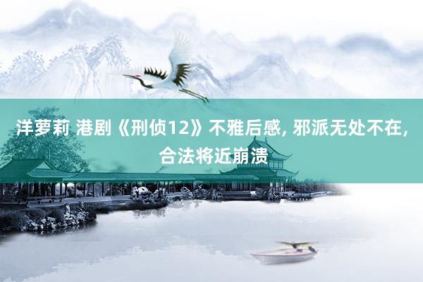 洋萝莉 港剧《刑侦12》不雅后感， 邪派无处不在， 合法将近崩溃